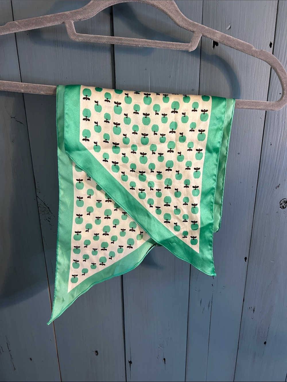 Women’s Satin Scarf in Mint Green with Apple Print | Great for Teachers & Fall